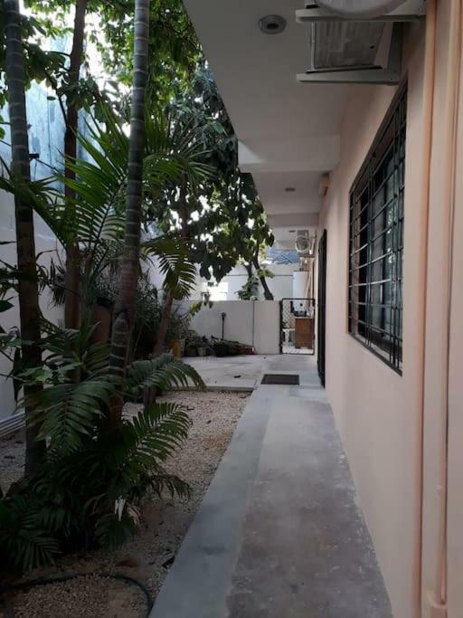 Estudio En Cancun Centro ภายนอก รูปภาพ